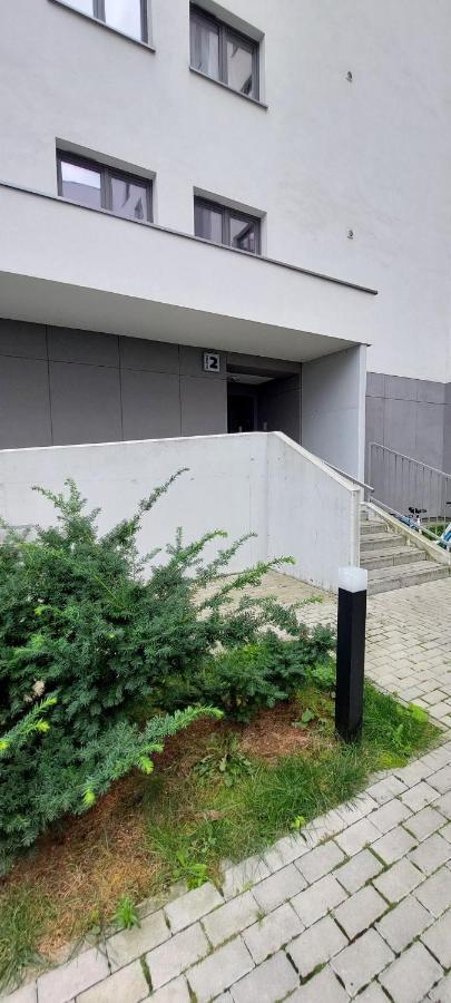Nowoczesny Z Widokiem Na Park Apartment