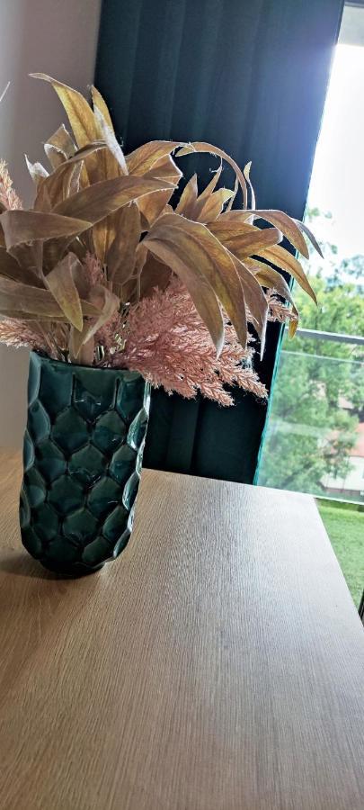 Apartment Nowoczesny Z Widokiem Na Park Rzeszów